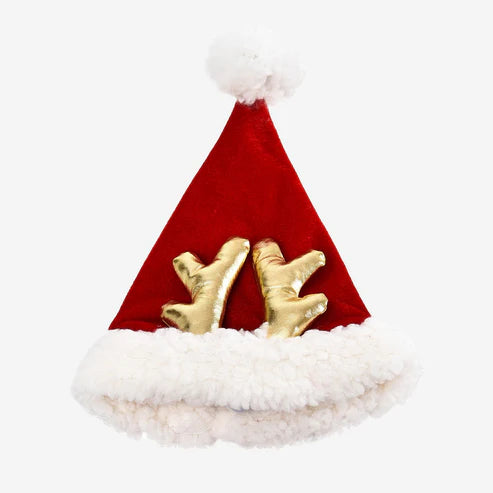 House of Paws - Santa Hat With Antlers