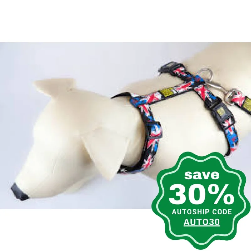 Max & Molly - H-Harness - Patriot UK